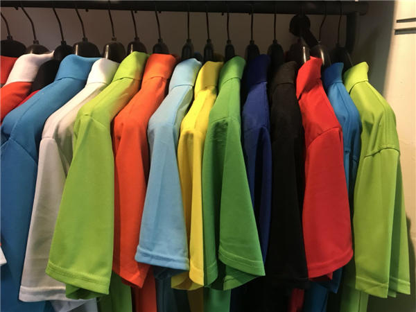 ȫ��С��(bi��o)POLO��